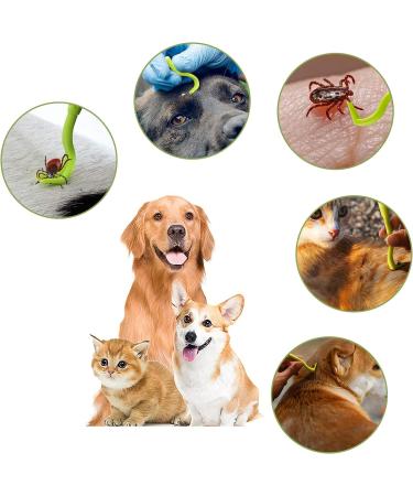 Nepfaivy Tick Remover Tool for Dogs - 3 Pcs Painlessly Tick Remover for Humans and Cats Pets Green - Buy Online on SooperMarket.com
