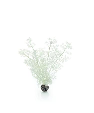 biOrb Sea Fan Medium White