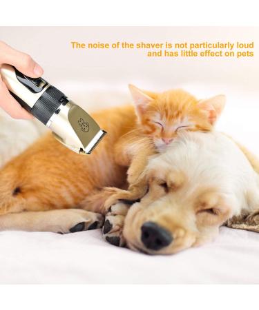 Podazz Electric Dog Grooming Kit Pet Clippers for Small Medium Large Breeds Pet Shaver Low Noise Dog Hair Trimmer Kit Rechargeable Cordless Dog Grooming Clippers Electric Pet Clippers Gold - Buy Online on SooperMarket.com