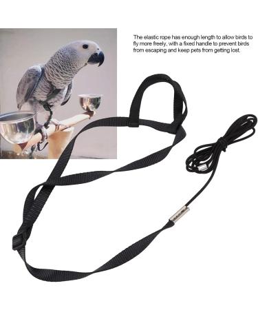Buy Psopp Bird Dishes & Leash for Parrots | Adjustable PAPPAGES-FREILLEINE for Grayka Cadu Black L - International Shipping - Buy Online on SooperMarket.com