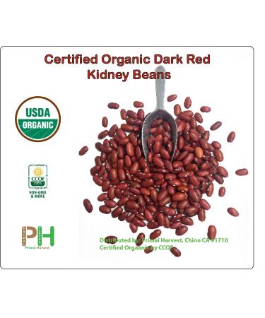 Organic Dark Red Kidney Beans- Fiber & Protein rich  Raw  Non-GMO  Vegan Bulk-10LB Organic Dark Red Kidney Beans 10 Pound (Pack of 1) - Buy Online on SooperMarket.com