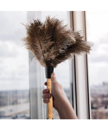 Kioiner Ostrich Feather Duster 34cm/13.3inch Antistatic Natural Ostrich Feather Duster Fluffy Feather Duster with Wooden Handle for Home Office Car Keyboard Blinds Bookcase Furniture - Buy Online on SooperMarket.com