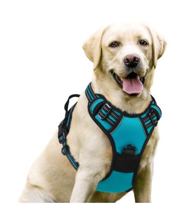 Rabbitgoo dog harness medium -sized dogs anti train crockery dog with control no pull adjustable dog dishes large dogs breathable reflex stripes breast harness dog safe guide blue green l l (1 Pack) blue -green