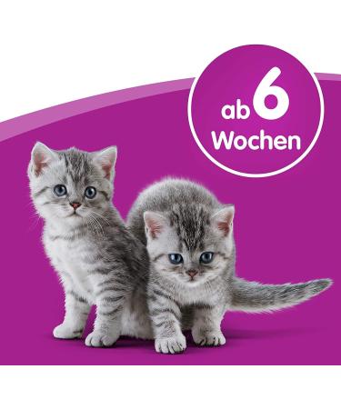 Whiskas Cat Milk for Cats from 6 weeks - Delicious Snack for a Happy Cat - Lactose-free and Easily Digestible - Different Sizes Milk 3 l (Pack of 1) - Buy Online on SooperMarket.com