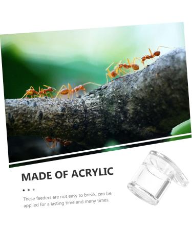 Minkissy Ant Farm Set - 2 Piece Ants Water Feed Station for Ants Nest | Observatory for Anthill Colony - Ideal for Scientific Education and Agriculture - Buy Online on SooperMarket.com
