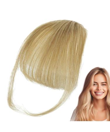 Dranng Bang Extensions Clip Human Hair French Bangs Clip on Fake Bangs Fringe Natural Color Fringe Hairpieces Stylish Neat Bangs Hair Extension for Girls Women gray gold