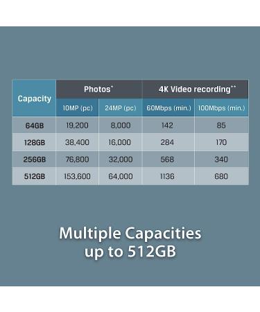 Kingston 128GB microSDXC Canvas Go Plus Memory Card | 170MB/s Read Speed | UHS-I, C10, U3, V30, A2/A1 | Includes Adapter | Fast 128GB microSD Card - Buy Online on SooperMarket.com