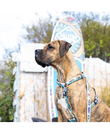 Max & Molly H-Harness - Aloha | Comfortable & Stylish Dog Harness for Every Adventure | Shop Now for International Shipping - Buy Online on SooperMarket.com