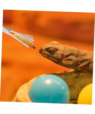 BCOATH Reptile Feeding Clip Lizard Stuff Feeding Tongs Snake Tongs Stainless Steel Silver - Buy Online on SooperMarket.com