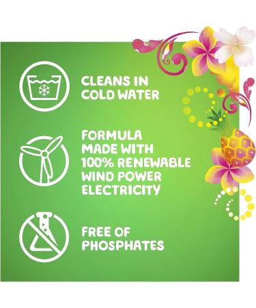 Gain Botanicals Orange Blossom Vanilla Plant Based Laundry Detergent 46 fl oz - Pack of 2 | HE Compatible, 32 Loads - Buy Online on SooperMarket.com