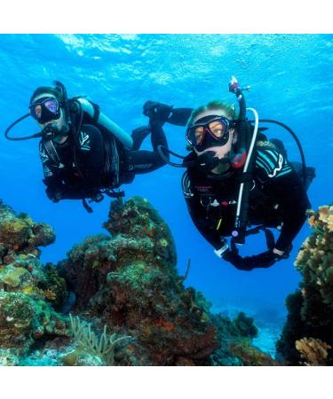 TUSA SP-0101 Hyperdry Elite II Diving Snorkel - Black/Fishtail Blue - Buy Online on SooperMarket.com