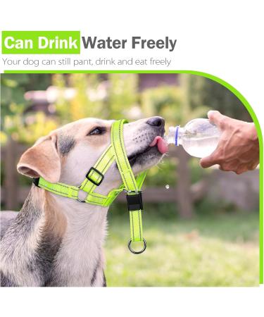 Buy Weesiber Soft Dog Handlebars - Adjustable Padded Halter with Reflective Stripes for Training & Walking | Large Green - No Pulling Comfortable Design - Buy Online on SooperMarket.com