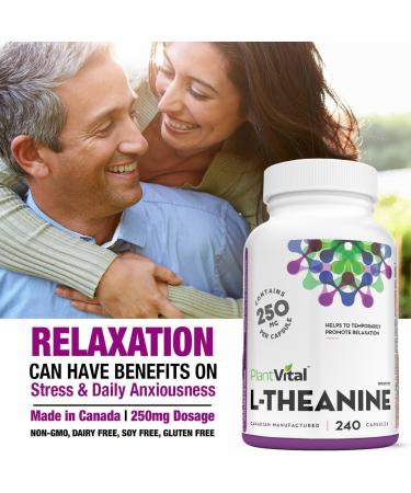 PlantVital High Potency L-Theanine 250mg Capsules - 240 Count - L Theanine Supplement for Relaxation and Stress Management Non-GMO Made in Canada - L-Theanine Supplements 8 Month Supply 240 count (Pack of 1) - Buy Online on SooperMarket.com