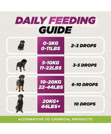 Natural Dewormer for Dogs | 100% Natural | Contains 3 Medicinal Herbs | Supports Intestinal & Gut Health | Gentle & Effective Formula - Buy Online on SooperMarket.com