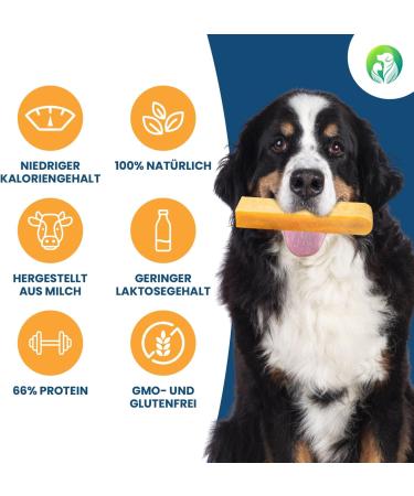 Natural Cheese Chewing Bones for Dogs - Tasty & Durable Treats (L Size 3-Pack) for Long Lasting Chewing Fun - Buy Online on SooperMarket.com