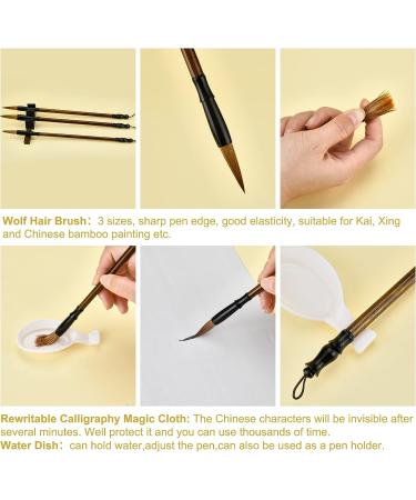 PandaHall 14pcs Chinese Calligraphy Set with Reusable Water Writing Cloth - Traditional Brushes for Beginners Practice | 17x13 White - Buy Online on SooperMarket.com
