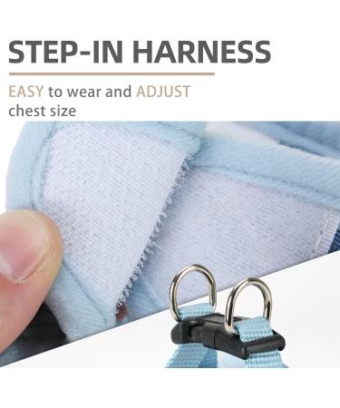 PUPTECK Dog Harness Small Dog with Collar and Lead Set Step-in No Pull Puppy Cat Harnesses for Daily Walking Blue M M: Chest girth: 40.6-45.7cm Collar: 30-40cm Blue - Buy Online on SooperMarket.com