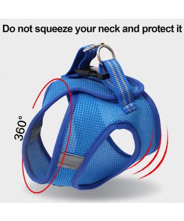 Buy Cat Dishes & Harness Set | Outdoor Leash & Bowls for Cats & Dogs - International Shipping - Buy Online on SooperMarket.com
