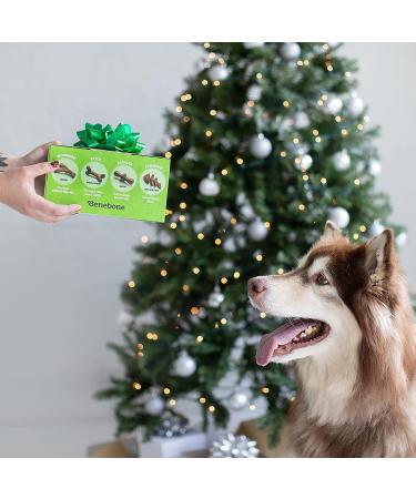 Benebone Durable Dog Chew Toy Box for Aggressive Chewers - Wishbone, Fishbone, Stick & Zaggler Medium - Buy Online on SooperMarket.com