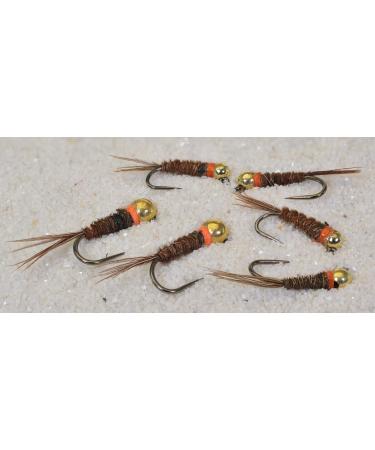 Region Fishing Tungsten Bead Hot Spot Pheasant Tail Jig Fly - Euro Nymph - Hanak Hooks 6ct Assortment