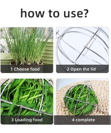 Esteopt Stainless Steel Feeder Ball Set for Guinea Pigs Hamsters & Rabbits - Durable Rodent Toy 2 Pieces Hay Ball for Small Animals - Buy Online on SooperMarket.com
