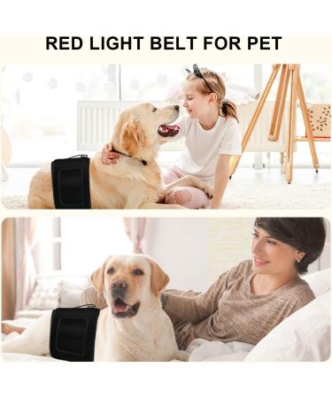 Red Light Lamp Belt Near Infrared Light with 105pcs 3 in 1 Chip Designed LEDs Portable for Home/Office/Trip with No Case - Buy Online on SooperMarket.com