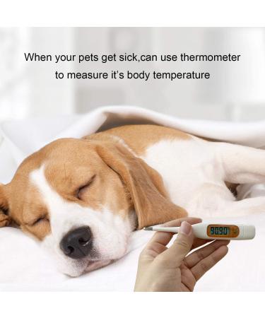 Pet First Aid Kit Veterinary First Aid Bag for Dog Cat Rabbit Animal with Otoscope feeder Perfect for Home Care and Outdoor Travel Emergencies - Buy Online on SooperMarket.com