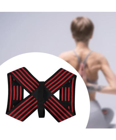 Zialofi Posture Support Strap for Neck Relief and Back Alignment L Large - Buy Online on SooperMarket.com