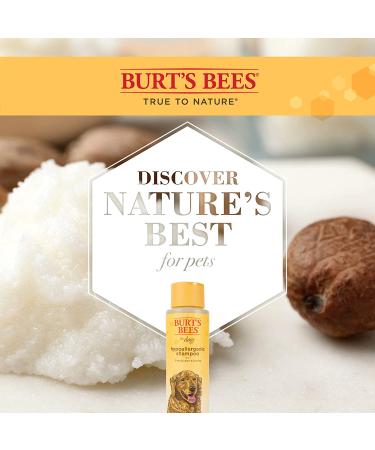 Burt's Bees Natural Hypoallergenic Dog Shampoo with Shea Butter and Honey - 16oz | For All Dogs and Puppies with Dry or Sensitive Skin | Made in USA - Buy Online on SooperMarket.com