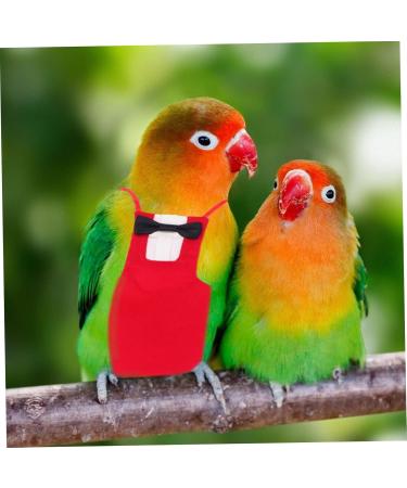 Iplusmile Parrot Suit - Bird Windula Accessories for Home Birds | Pet Needs & Clothing for Bird Lovers | Red Set - Buy Online on SooperMarket.com