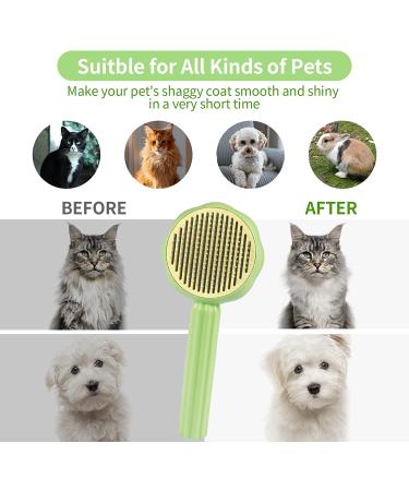 Self Cleaning Cat Brush for Shedding Indoor Cats - Deshedding Tool for Long Haired Cats & Short Haired Dogs - Slicker Brush & Fur Comb for Efficient Grooming - Green - Buy Online on SooperMarket.com
