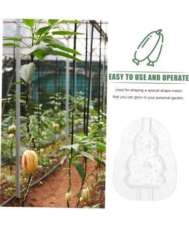 VINTORKY 3pcs Vegetable Mold Ginseng Creative Melon Fruit Accessory Forming Machine Gourd - Buy Online on SooperMarket.com