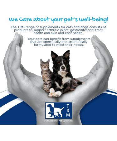 CANIGEST Probiotic Paste for Cats and Dogs - 30ml | Easy-to-Administer Tummy Settler with Probiotics, Prebiotic, Glutamine, Kaolin & Pectin - Buy Online on SooperMarket.com
