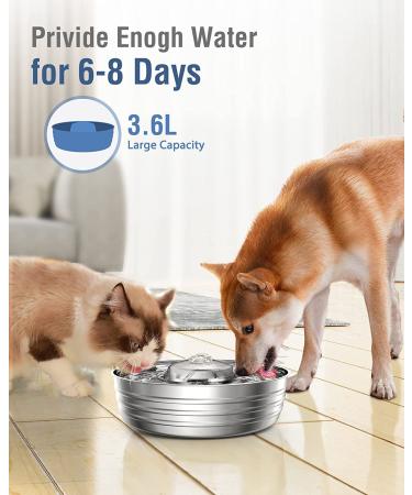 Stainless Steel Cat Water Fountain 3.6L - Automatic Pet Fountain for Dogs and Cats - Ultra-Quiet Pump - Multiple Pet Water Bowl Dispenser - Sliver - Buy Online on SooperMarket.com