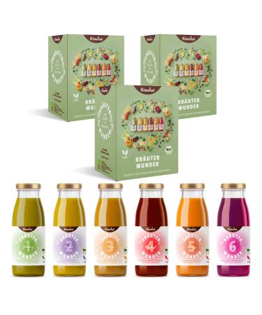 Herbal miracle 3-day fasting cure organic | 3x6 bottles | the first herbal-based fasting cure | organic quality | from Achterhof