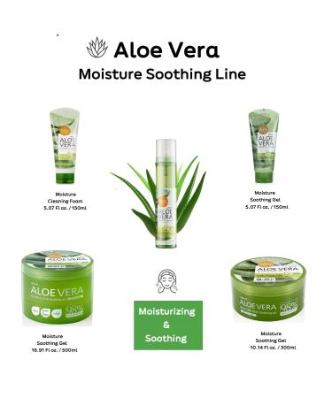 WELCOS Kwailnara Aloe Vera Gel - 98% Pure Moisture Soothing Gel for Face Body Hands & Hair | California Grown Korean Skin Care (16.91 Fl oz - Buy Online on SooperMarket.com
