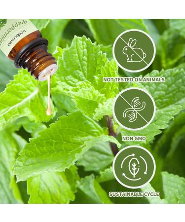 Sedbuwza Lavender Peppermint Essential Oil Set 100% Pure Aromatherapy Gift Oils for Skin Massage Diffuser Aromatherapy Peppermint + Lavender - Buy Online on SooperMarket.com