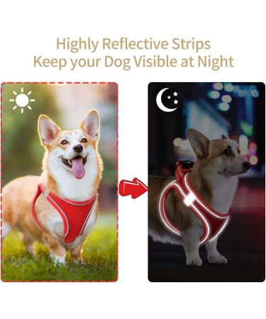 Heele Adjustable Reflective Dog Harness for Small & Medium Dogs - Breathable Soft Mesh Comfortable Fit Red 2XS - Buy Online on SooperMarket.com