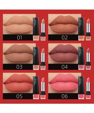 YOUNG VISION Lipsticks Set: Multi-finish Matte Nude Colors Bundle for Long-lasting & Moisturizing Lip Makeup - Pack of 6 - Perfect Gift for Women - Buy Online on SooperMarket.com