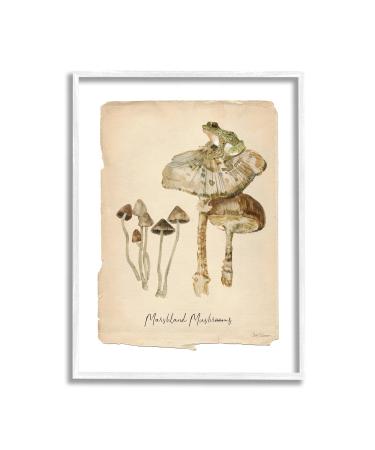 Stupell Industries Marshland Mushrooms & Frog Framed Giclee Art by Carol Robinson 11 x 14 White Framed
