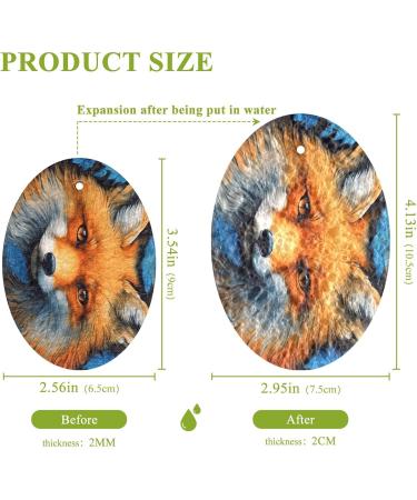 Kigai Cute Wolf Scrubbing Sponge 3 Packs Reusable Dish Wash Scrub Sponge Clean Stubborn Oil Stains Anti-Scratch Cleaning Sponge for Kitchen Tableware - Buy Online on SooperMarket.com
