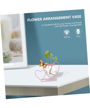 Zerodeko Wrought Iron Hydroponic Flower Pot Plein Air Frames Freesia Greenery Wall Vases for Flowers Green Plant Pot Cactus Plant Terrarium Glass Desktop Office Decorations Pink Pink 20.5X8CM - Buy Online on SooperMarket.com