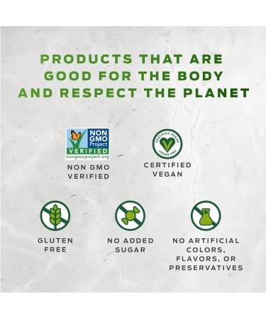 Vega All-in-One Vegan Protein Powder Berry (10 Servings) Superfood Ingredients Vitamins For Immunity Support Keto Friendly Pea Protein For Women & Men 425g (Packaging May Vary) Mixed Berry 10 Servings (Pack of 1) - Buy Online on SooperMarket.com