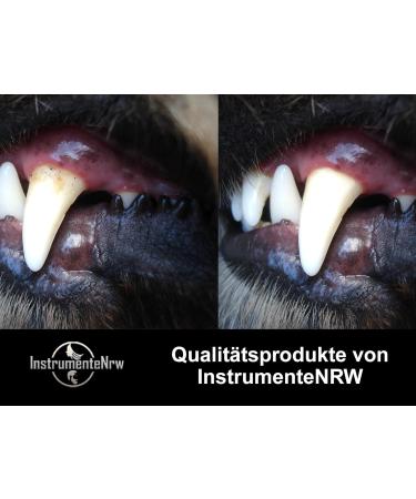 Premium Stainless Steel Dog Tartar Remover | Pointed Tooth Cleaner & Toothbrush Replacement | Zartar Scratches Type 18 for Effective Pet Dental Care - Buy Online on SooperMarket.com