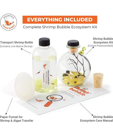 Shrimp Bubble Self-Sustaining Ecosystem in Amber - Eco-Friendly Home Decor - Buy Online on SooperMarket.com