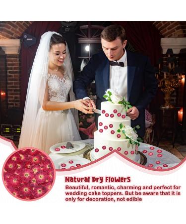 100 Pcs Red Rose Dried Pressed Flowers - Natural Resin Filler for DIY Crafts and Decor - Buy Online on SooperMarket.com