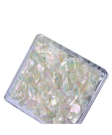 Irregular Shell Slices Nail Supplies Colorful Shell Nail Art Slices 3D Nail Art Flakes For Manicure Decoration DIY Nail Art Shells