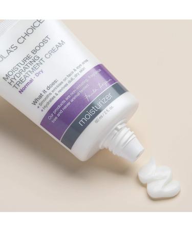 Paula's Choice Hydrating Treatment Cream - Niacinamide & Hyaluronic Acid Moisturizer (2 oz) for Dry Skin - Buy Online on SooperMarket.com