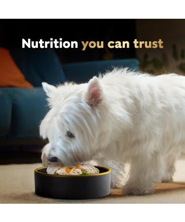 Cesar Wholesome Bowls Adult Wet Dog Food Beef Chicken Carrots & Purple Potato 85g Pack of 10 Beef & Chicken 85 g (Pack of 10) - Buy Online on SooperMarket.com