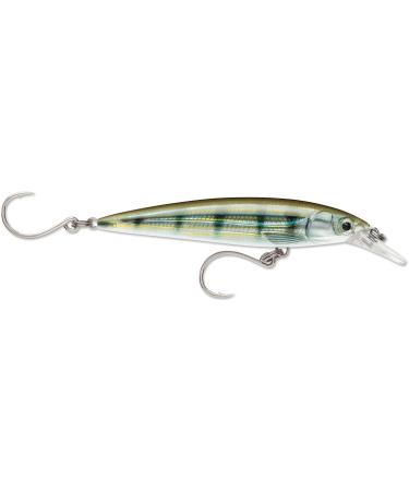 X-Rap Long Cast 14 Pinfish